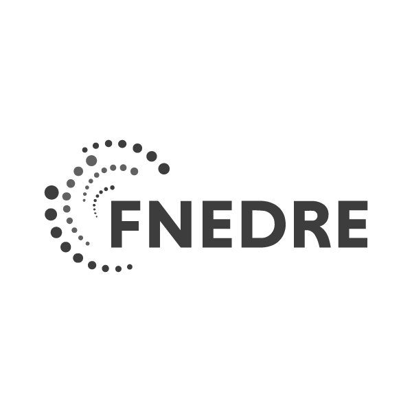 fnedre relations presse médias relations publiques stratégie éditoriale lyon